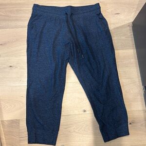 Lululemon Ready to Rulu Jogger Pants Crop Heathered True Navy / Black Size 14